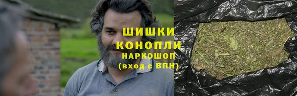 индика Баксан