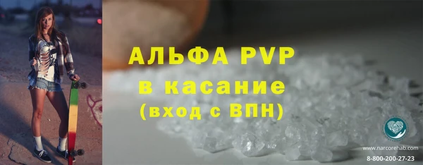 индика Баксан