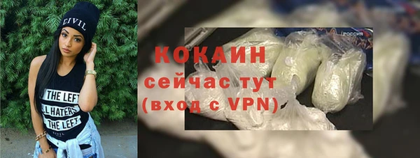 индика Баксан